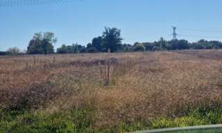 Terrain  1500 m² à vendre à Saint-Savin (33920)