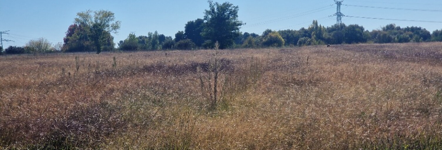 Terrain  1500 m² à vendre à Saint-Savin (33920)