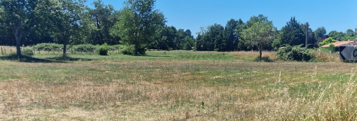 Terrain  1400 m² à vendre à Saint-Savin (33920)