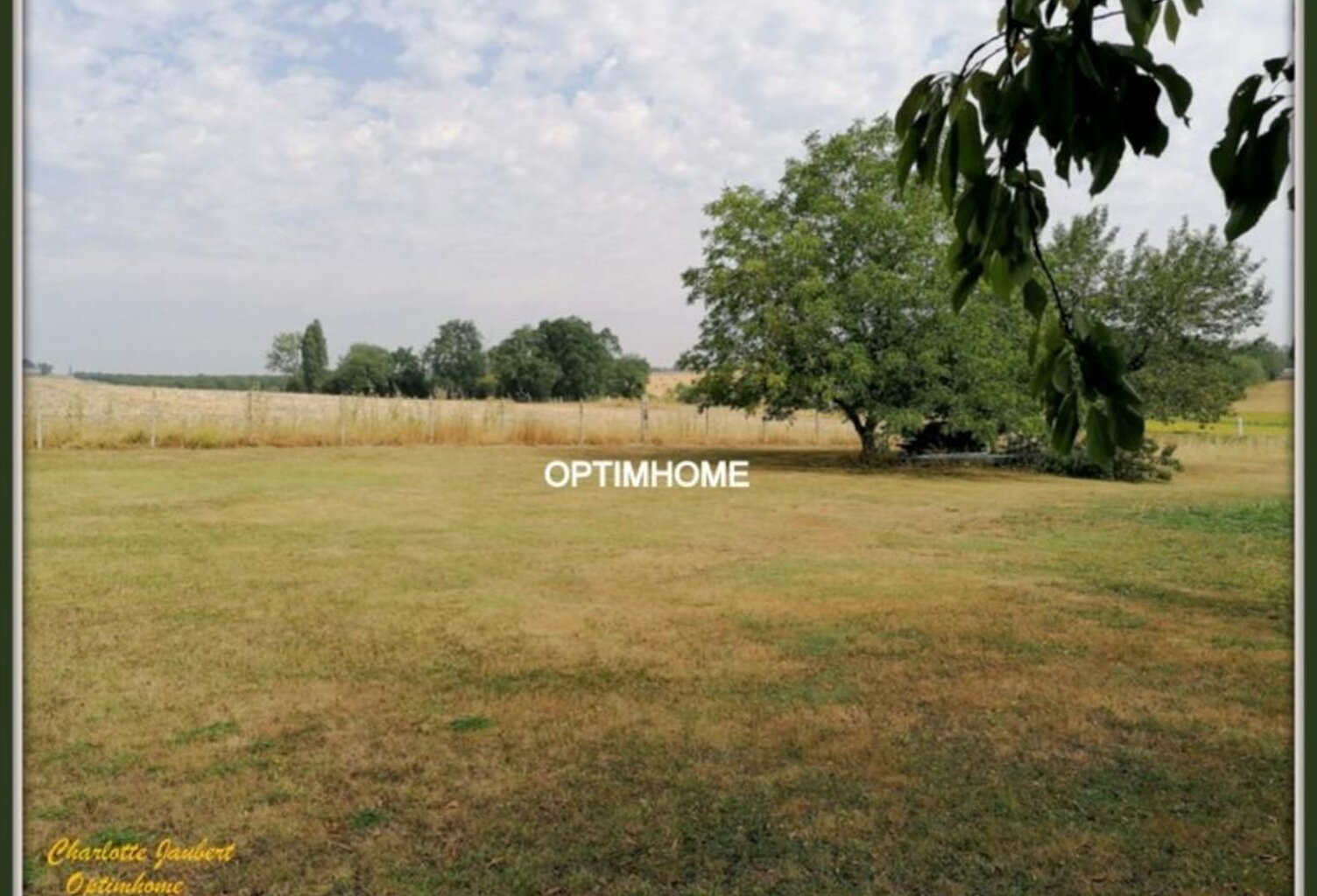 terrain — photo 1