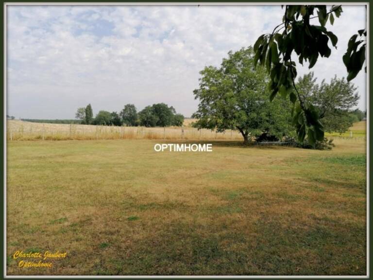 terrain — photo 1