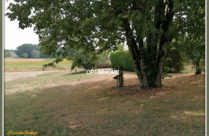 terrain — photo 2