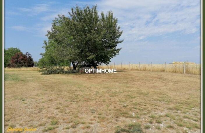 terrain — photo 3