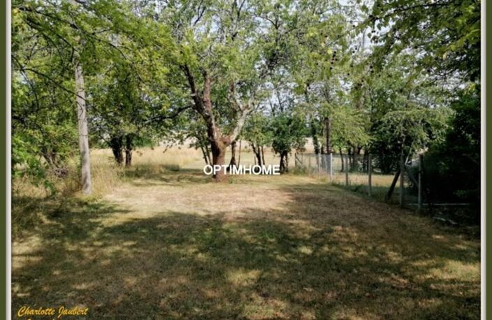 terrain — photo 4