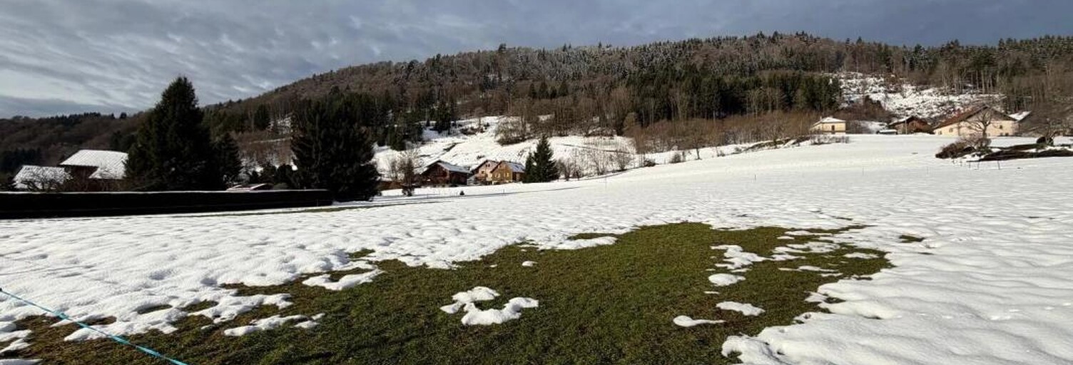 Terrain  3678 m² à vendre à Habère-Poche (74420)