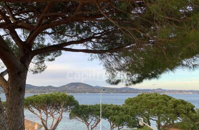 Var(83) Vente-Gassin-Golfe de Saint Tropez-BASTIDE et MAISON sur Terrain 2 117 m², 2 piscines-Bord de mer — photo du bien