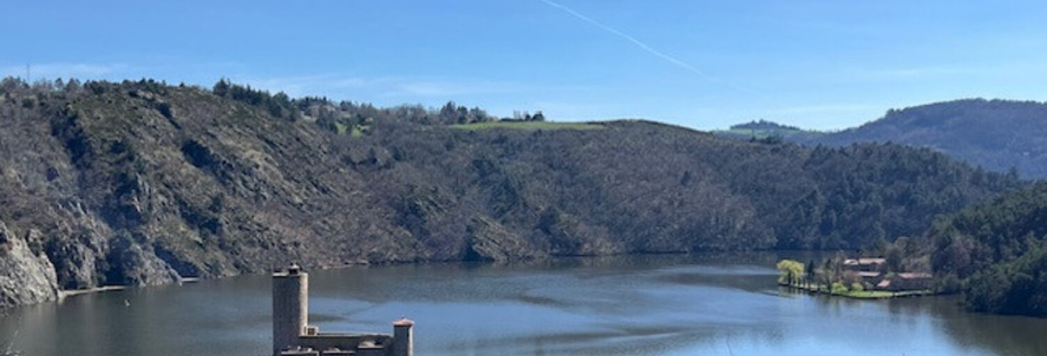 Maison 7 Pièces 186 m² à vendre à Roche-la-Molière (42230)