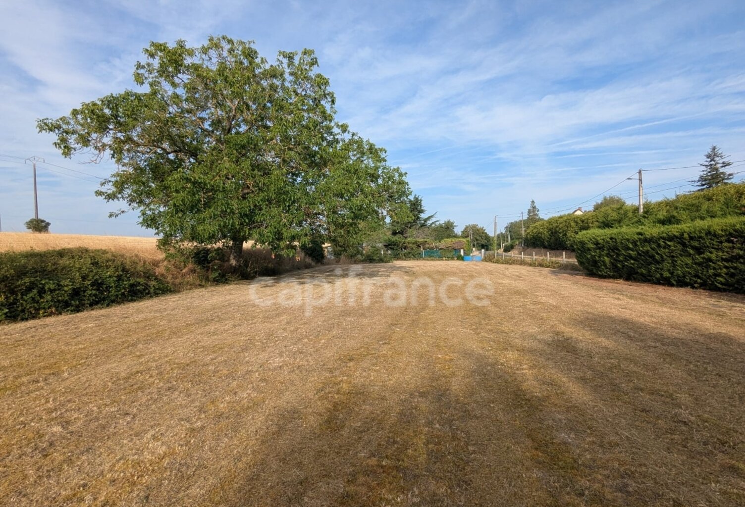 Terrain à vendre  ASNIERES (18) — photo 1