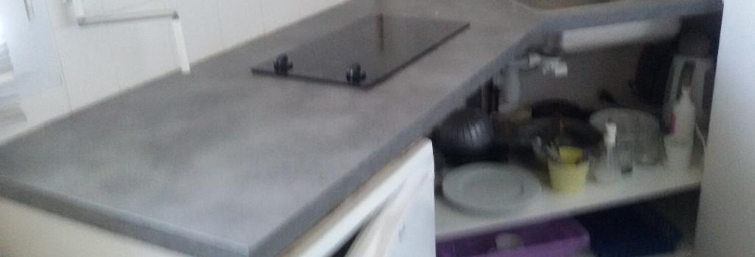 Appartement 1 Pièce 25 m² à louer à Les Ponts-de-Cé (49130)