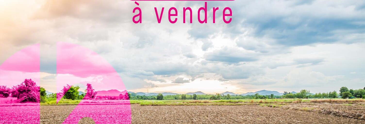 Commerce  1710 m² à vendre à La Possession (97419)