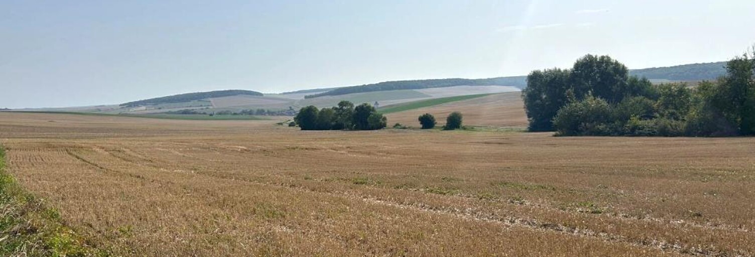 Terrain  5310 m² à vendre à Coulonges-Cohan (02130)