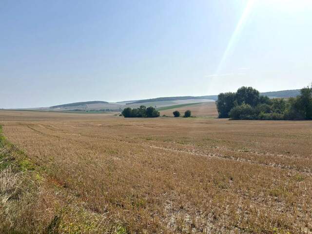 Terrain À Vendre — photo du bien