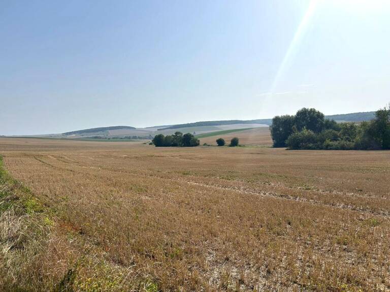 Terrain À Vendre — photo 1