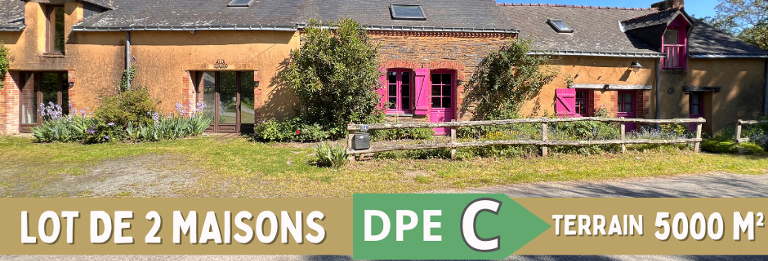 Maison 8 Pièces 270 m² à vendre à Blain (44130)