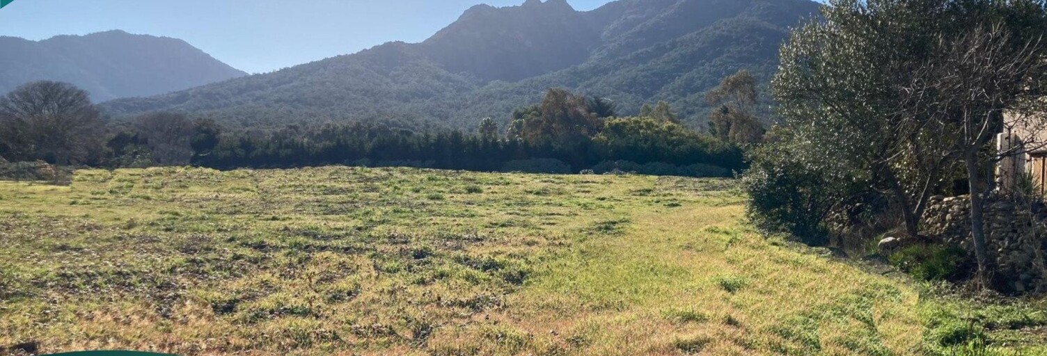 Terrain  317 m² à vendre à Sorède (66690)