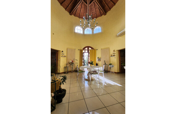 Vente maison 14 pièces 433 m² Vieille-Toulouse (31320) — photo 4