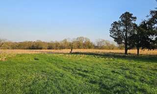 Terrain  1360 m² à vendre à Peillac (56220)