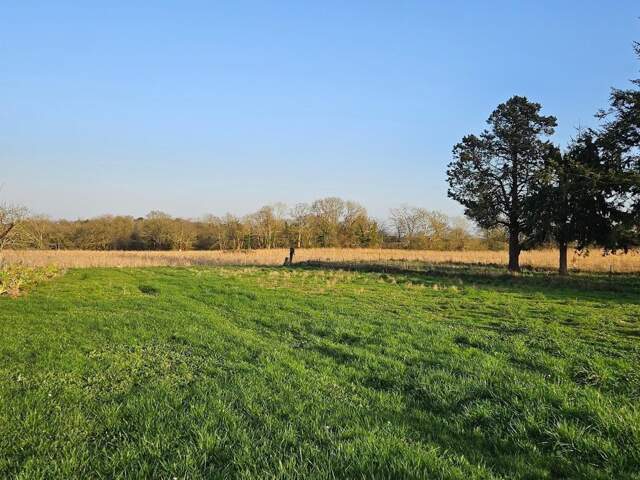 Terrain 1370m² Peillac — photo du bien