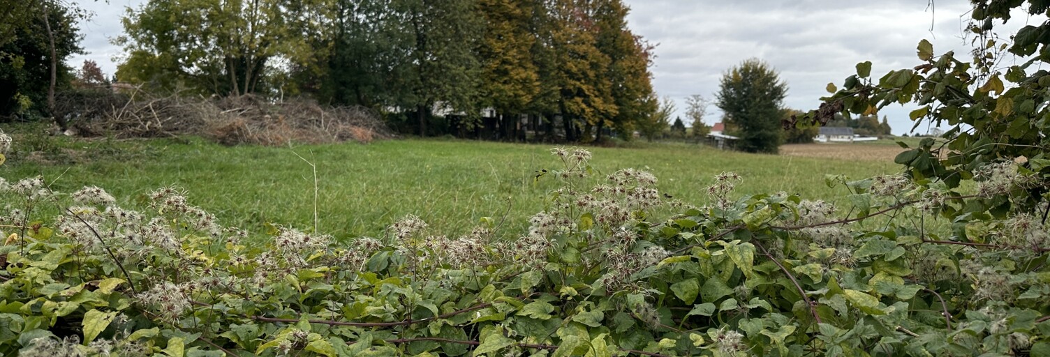 Terrain  2200 m² à vendre à Viels-Maisons (02540)