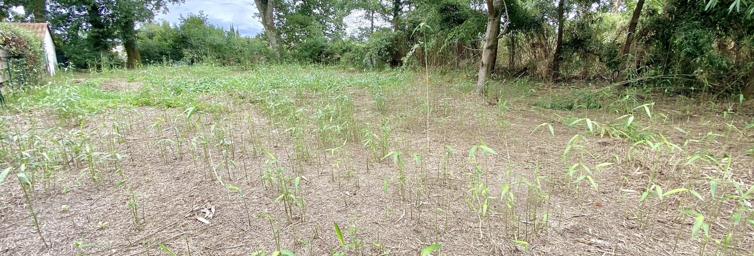 Terrain  1201 m² à vendre à Linxe (40260)