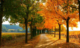 Maison 25 Pièces 700 m² à vendre à Bollène (84500)