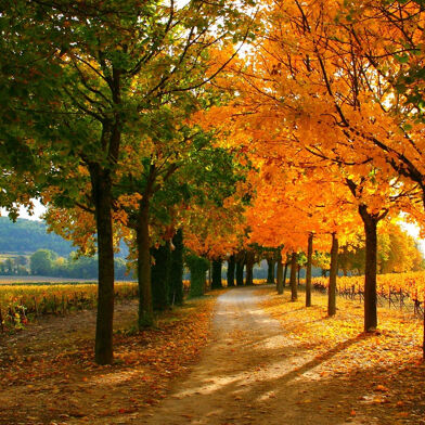 Maison 25 pièces 2940000 €