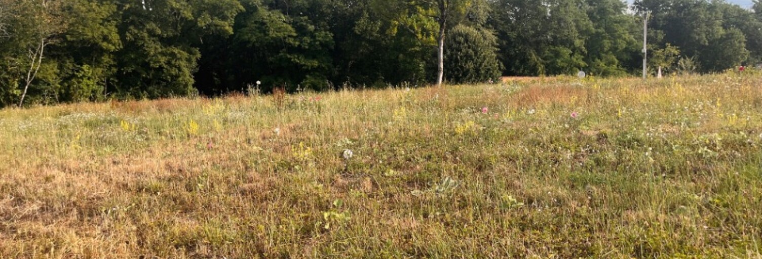 Terrain  900 m² à vendre à Frontenac (33760)