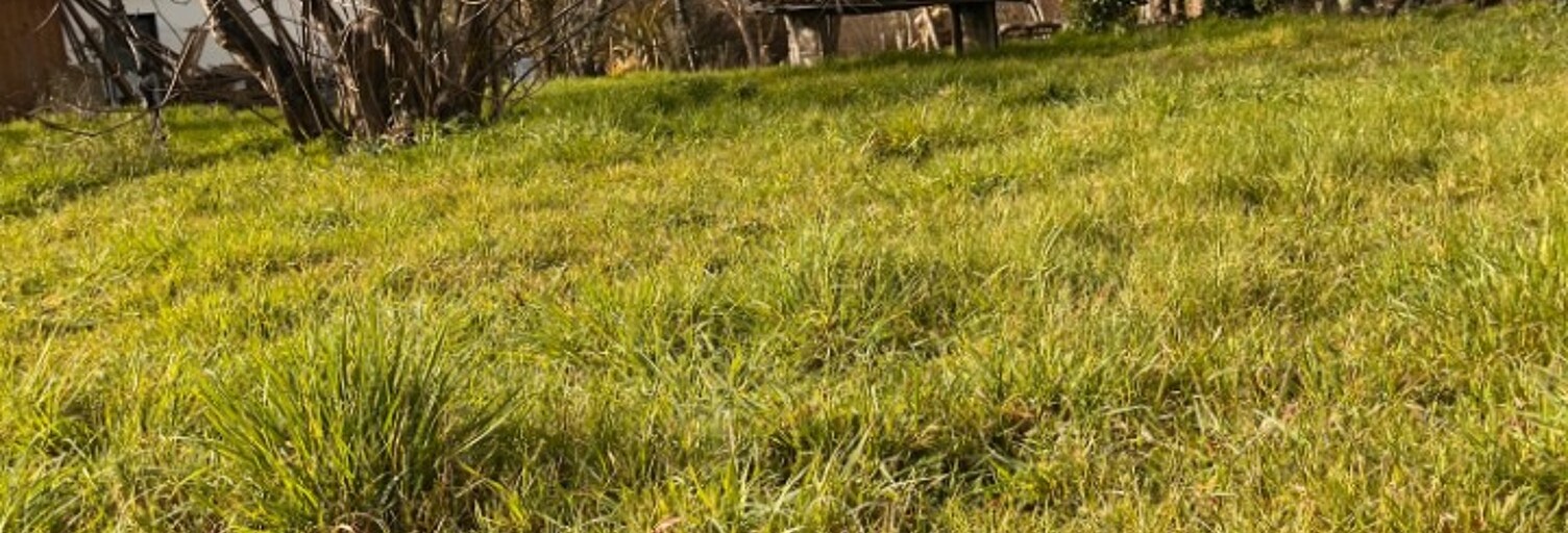 Terrain  1500 m² à vendre à Saint-Caprais-de-Bordeaux (33880)