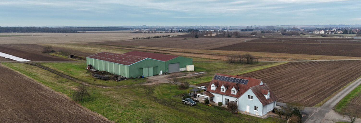 Maison 6 Pièces 220 m² à vendre à Hœrdt (67720)