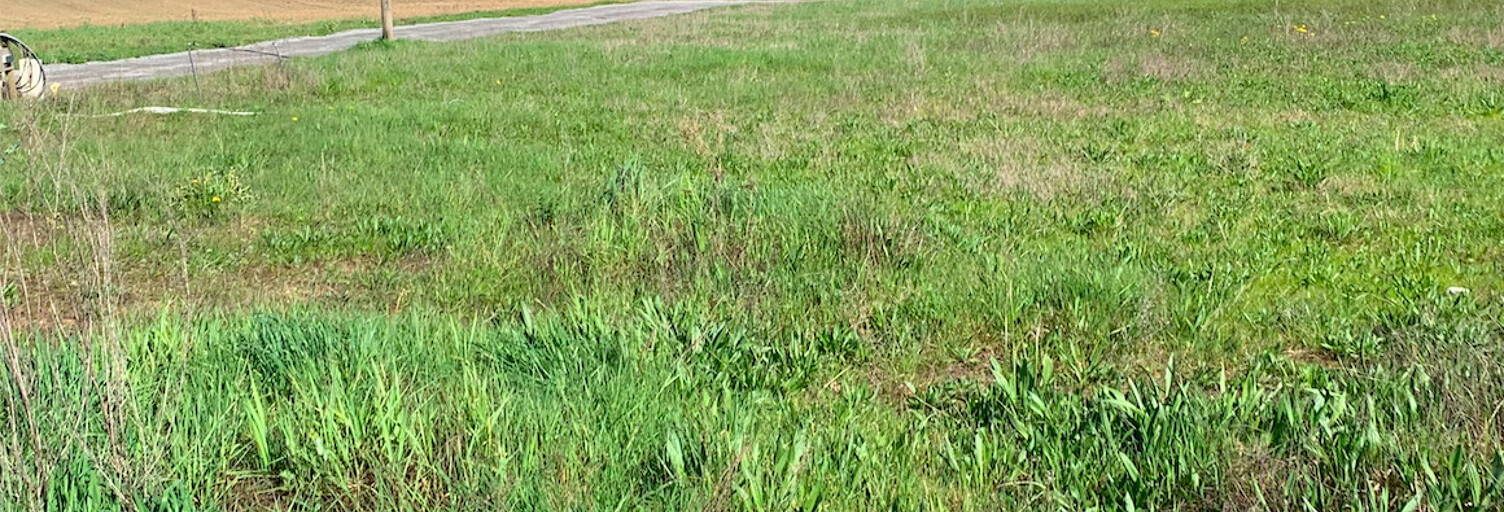 Terrain 800 m² à construire Pugnac (33710)