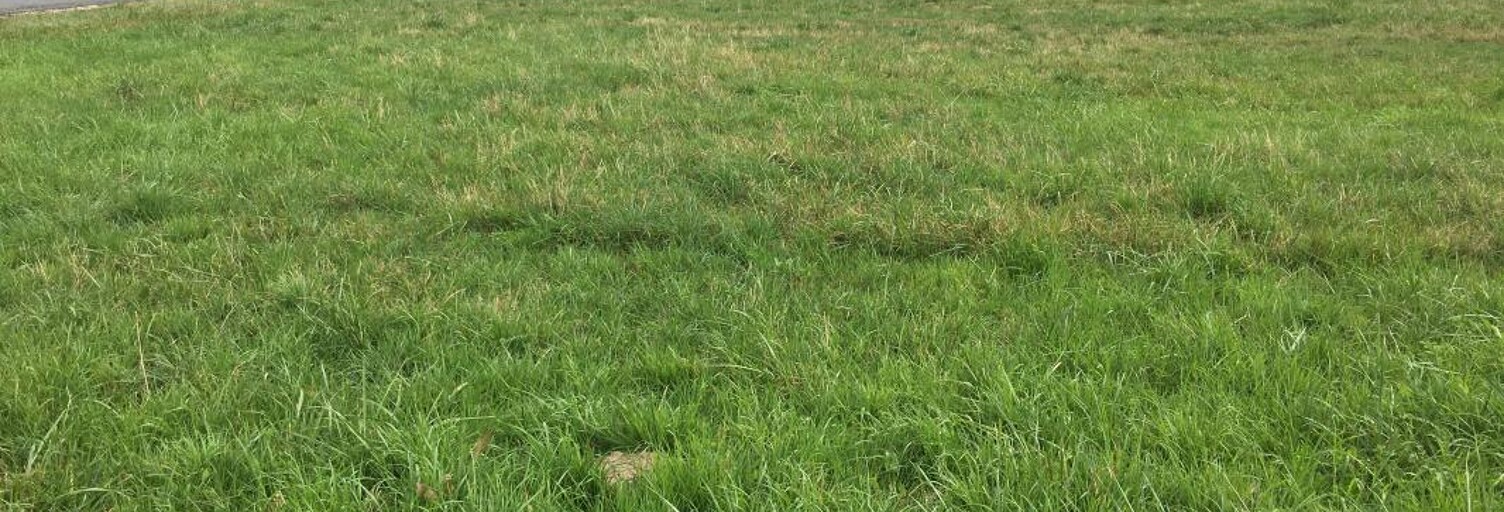 Terrain 1017 m² à construire Saint-André-de-Cubzac (33240)