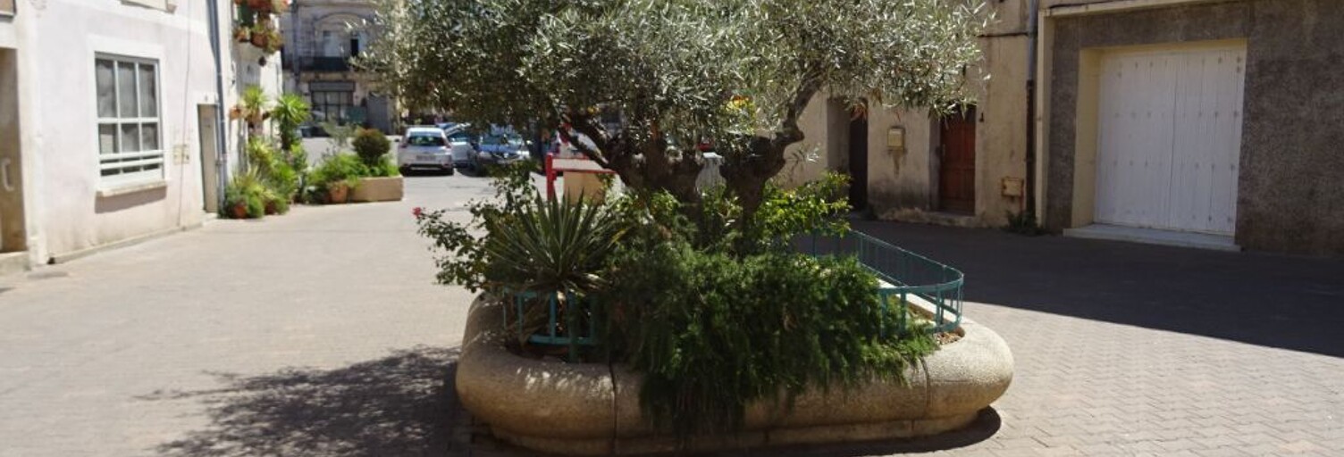 Appartement 2 Pièces 36 m² à louer à Villeneuve-lès-Maguelone (34750)