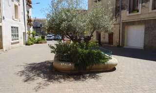 Appartement 2 Pièces 36 m² à louer à Villeneuve-lès-Maguelone (34750)
