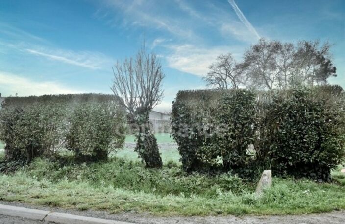À vendre : belle parcelle à bâtir sur la commune paisible de Loiré près de Vérines (17) — photo 5