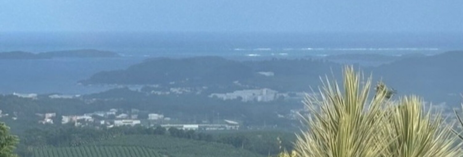 Maison 5 Pièces 272 m² à vendre à Le François (97240)