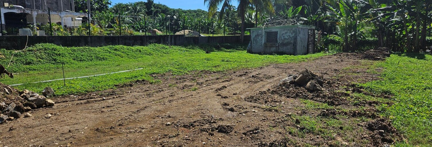 Terrain  1000 m² à vendre à Goyave (97128)