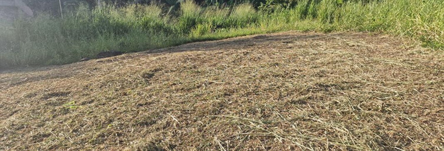 Terrain  517 m² à vendre à Schœlcher (97233)