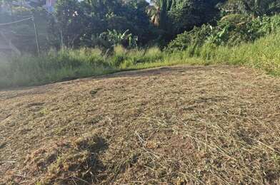 Terrain  139100 €