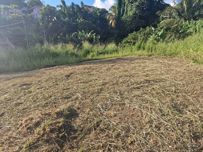Terrain-Schoelcher-Terreville — photo 1