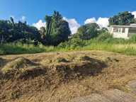 Terrain-Schoelcher-Terreville — photo 4