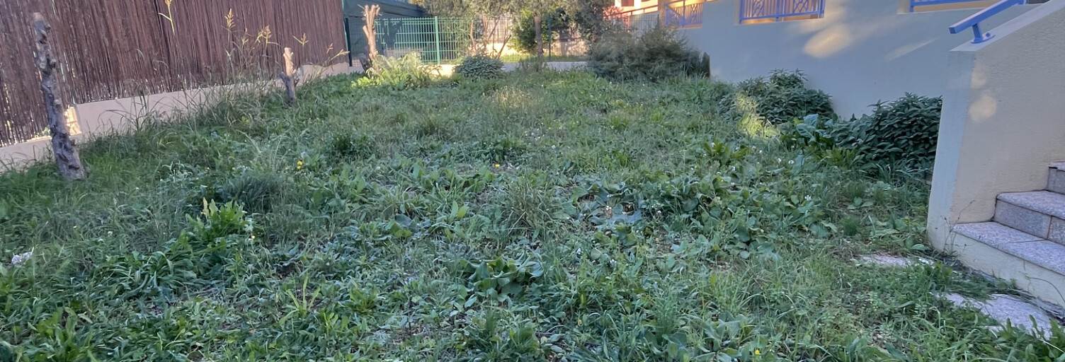 Appartement 3 Pièces 63 m² à louer à Hyères (83400)