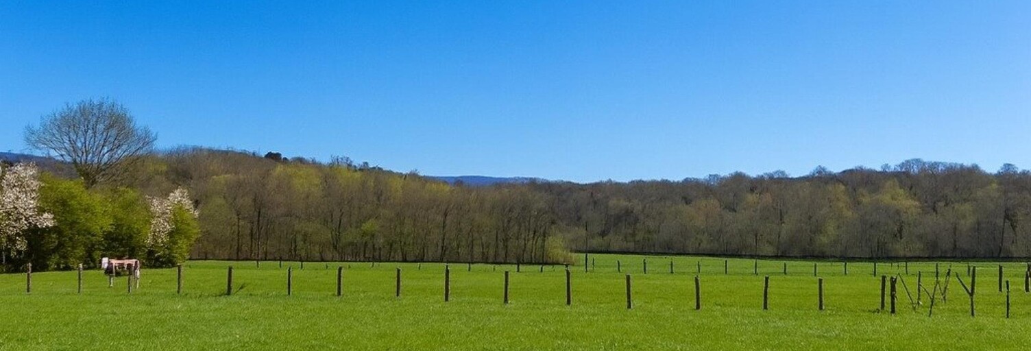 Terrain  1943 m² à vendre à Cuiseaux (71480)