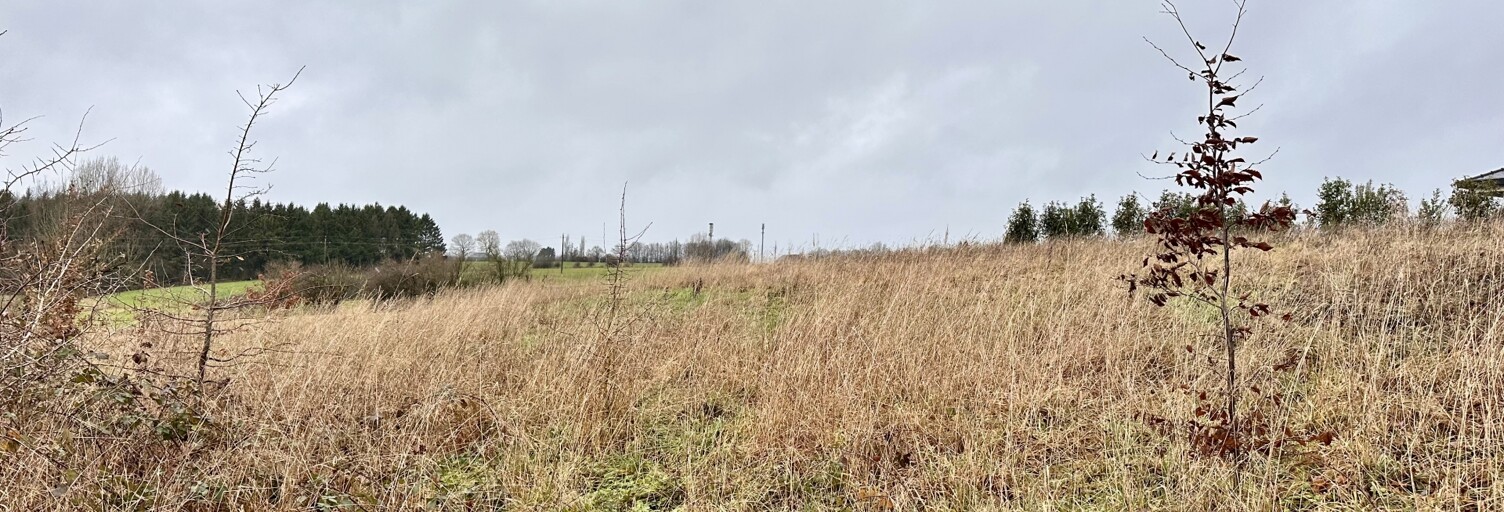 Terrain  2000 m² à vendre à Auvillers-les-Forges (08260)