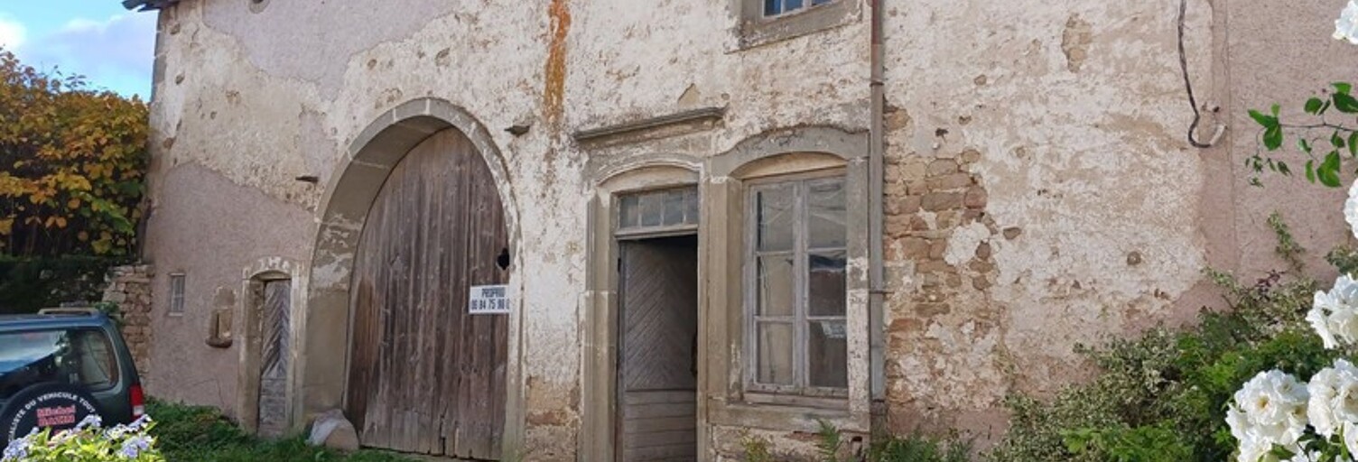 Maison 1 Pièce 160 m² à vendre à Lamarche (88320)