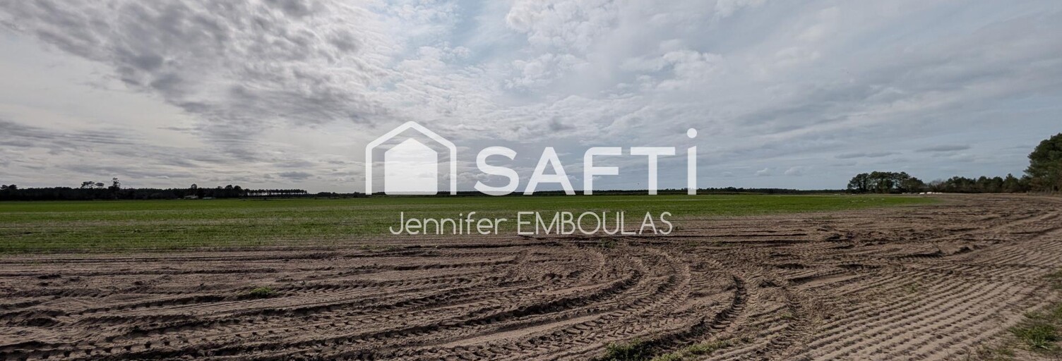 Terrain  7000 m² à vendre à Belin-Béliet (33830)