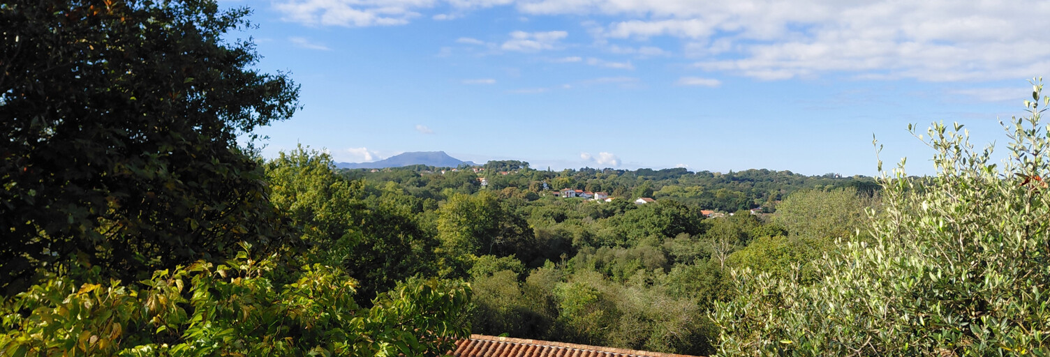 Maison 7 Pièces 204 m² à vendre à Bassussarry (64200)