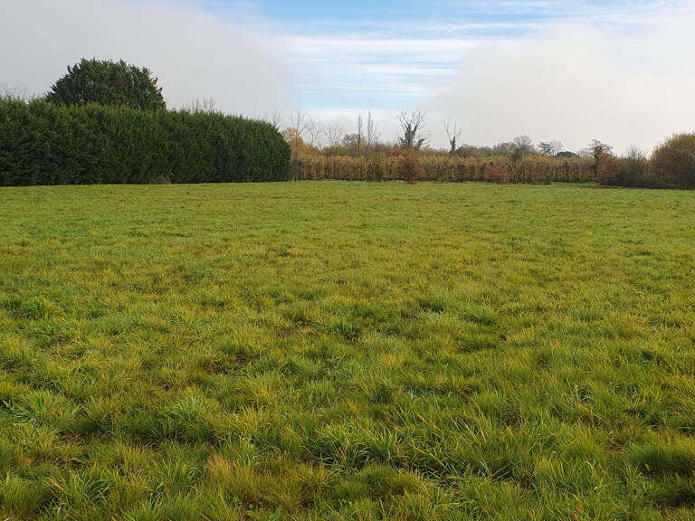 GARDONNE - TERRAIN CONSTRUCTIBLE 6911 M2 - 80 500 euros — photo 1