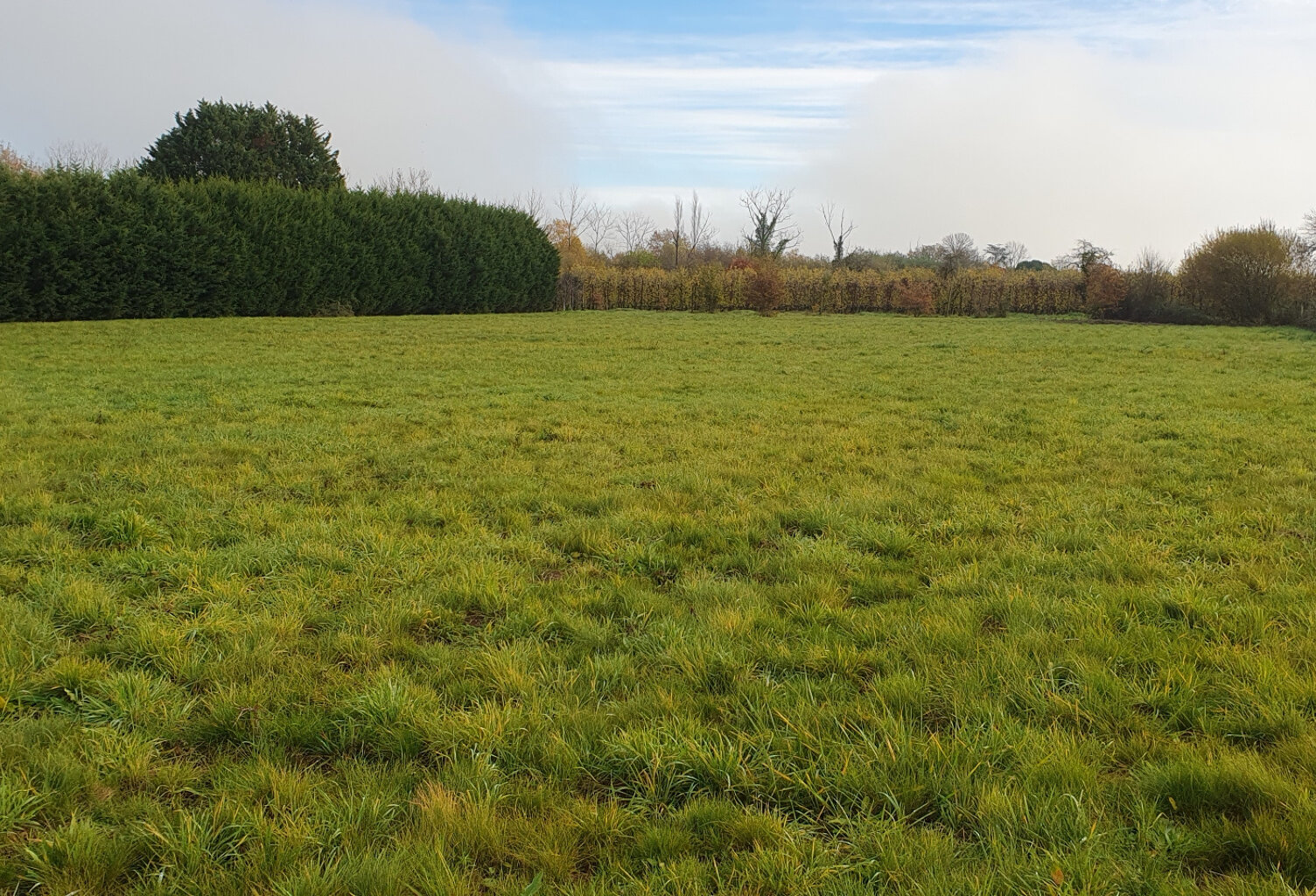 GARDONNE - TERRAIN CONSTRUCTIBLE 6911 M2 - 80 500 euros — photo 1