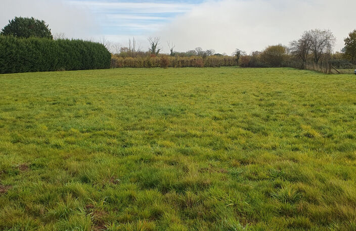 GARDONNE - TERRAIN CONSTRUCTIBLE 6911 M2 - 80 500 euros — photo 3