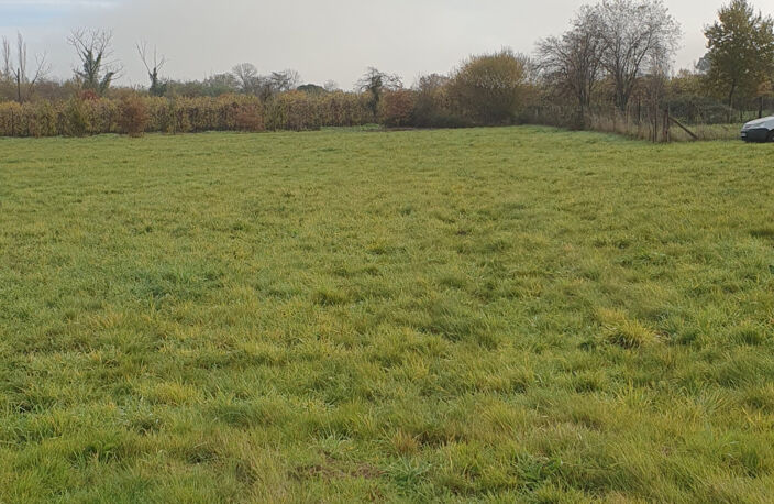 GARDONNE - TERRAIN CONSTRUCTIBLE 6911 M2 - 80 500 euros — photo 4